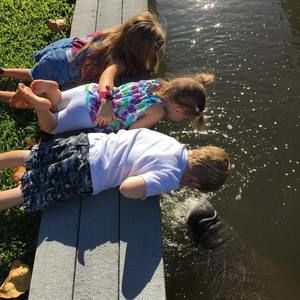 Meet your Posher, Jan